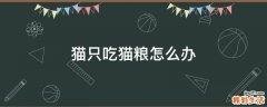 猫只吃猫粮怎么办