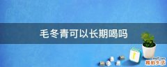 毛冬青可以长期喝吗