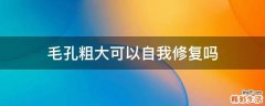 毛孔粗大可以自我修复吗