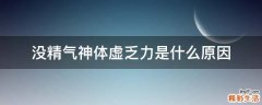 没精气神体虚乏力是什么原因