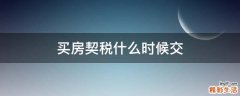 买房契税什么时候交