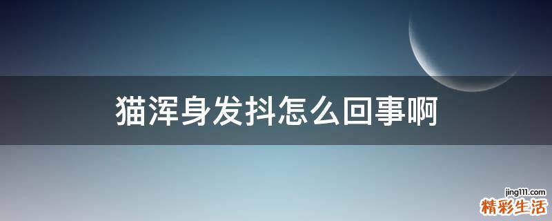 猫浑身发抖怎么回事啊