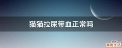 猫猫拉屎带血正常吗
