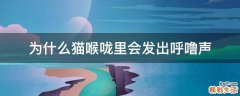 为什么猫喉咙里会发出呼噜声