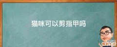 猫咪可以剪指甲吗