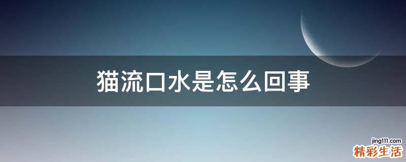 猫流口水是怎么回事
