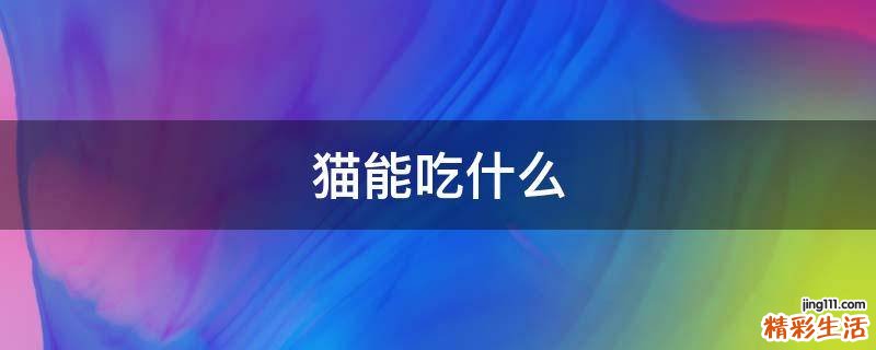 猫能吃什么