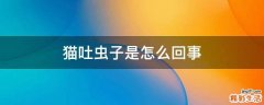 猫吐虫子是怎么回事