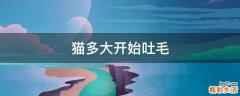 猫多大开始吐毛
