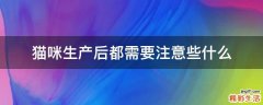 猫咪生产后都需要注意些什么