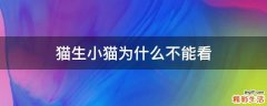 猫生小猫为什么不能看