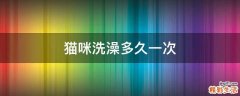 猫咪洗澡多久一次