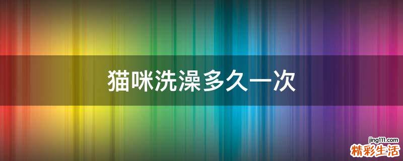 猫咪洗澡多久一次