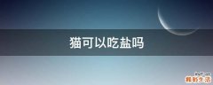 猫可以吃盐吗