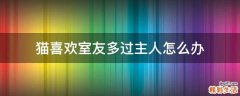 猫喜欢室友多过主人怎么办