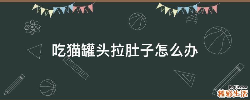 吃猫罐头拉肚子怎么办