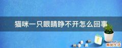 猫咪一只眼睛睁不开怎么回事