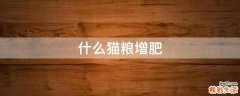 什么猫粮增肥