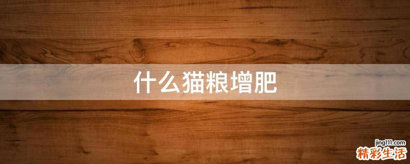 什么猫粮增肥