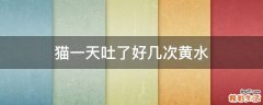 猫一天吐了好几次黄水