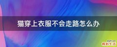 猫穿上衣服不会走路怎么办