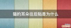 猫的耳朵往后贴是为什么