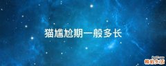 猫尴尬期一般多长