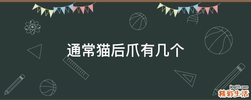 通常猫后爪有几个