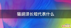 猫胡须长短代表什么