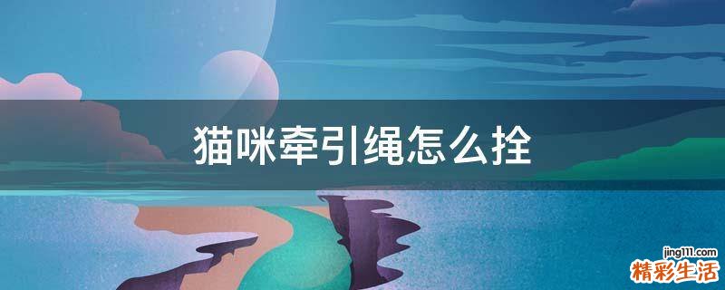 猫咪牵引绳怎么拴