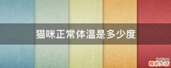 猫咪正常体温是多少度
