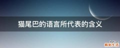猫尾巴的语言所代表的含义