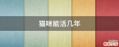 猫咪能活几年