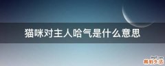 猫咪对主人哈气是什么意思