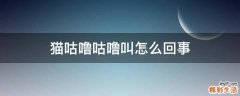 猫咕噜咕噜叫怎么回事