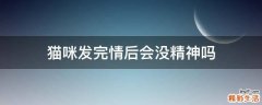 猫咪发完情后会没精神吗