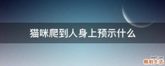 猫咪爬到人身上预示什么