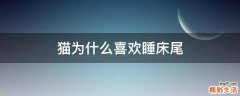 猫为什么喜欢睡床尾