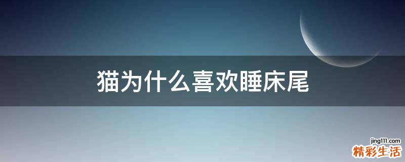 猫为什么喜欢睡床尾
