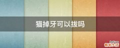 猫掉牙可以拔吗