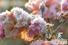 小寒祝福语简短发朋友圈祝词