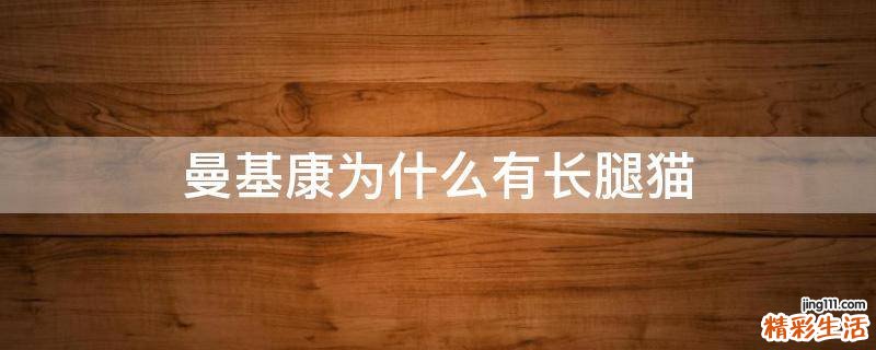 曼基康为什么有长腿猫
