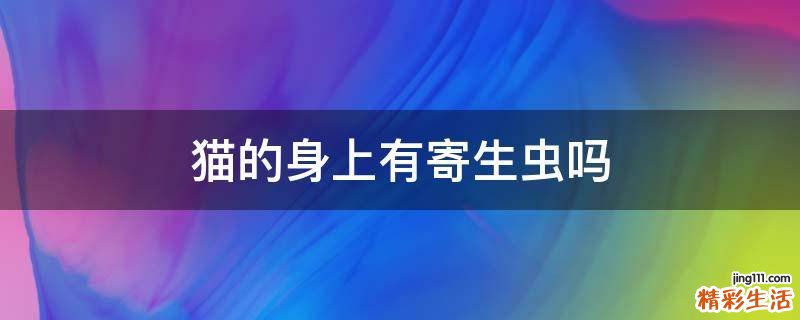 猫的身上有寄生虫吗