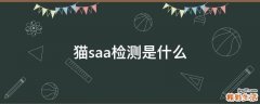 猫saa检测是什么