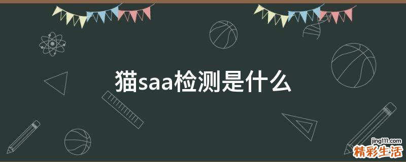 猫saa检测是什么