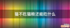 猫不吃猫粮还能吃什么