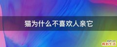 猫为什么不喜欢人亲它