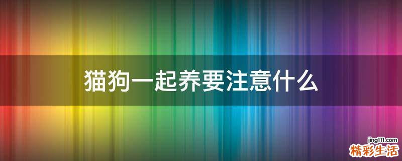 猫狗一起养要注意什么