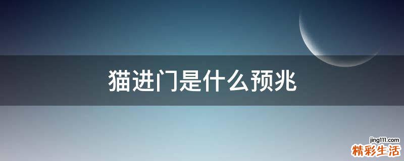 猫进门是什么预兆