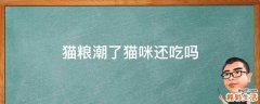猫粮潮了猫咪还吃吗